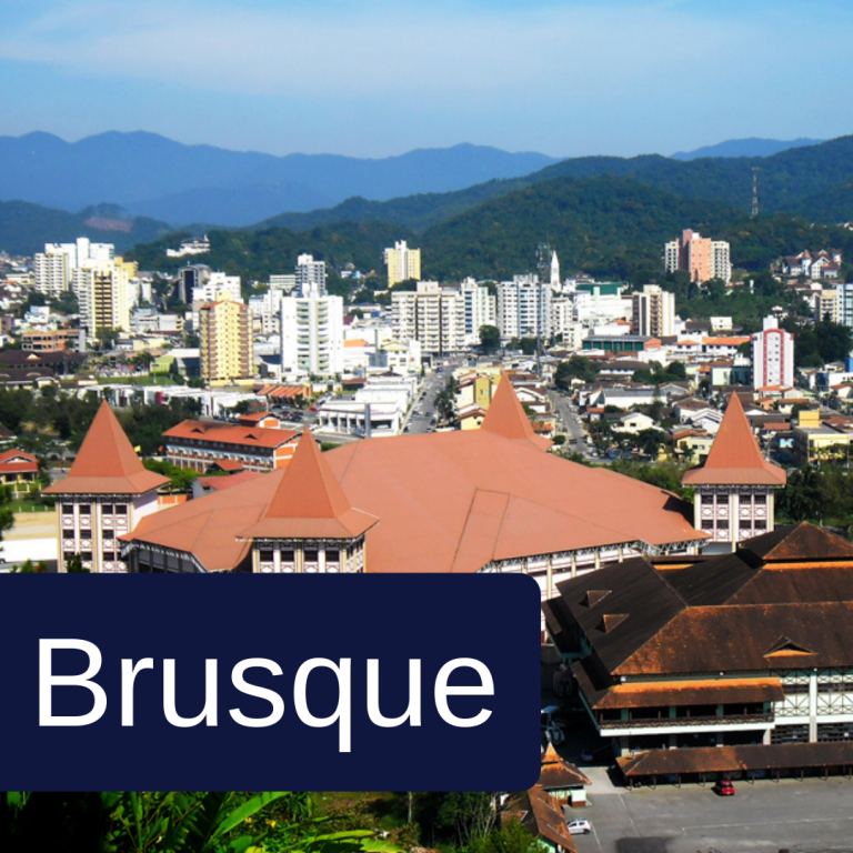 cidades de atuação advogados dognini e holtrup (7)